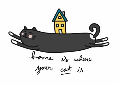 Home is where your cat is