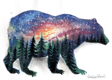 The bear without a forest