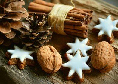 Christmas Cinnamon Cookies