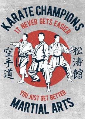 Karate Champions