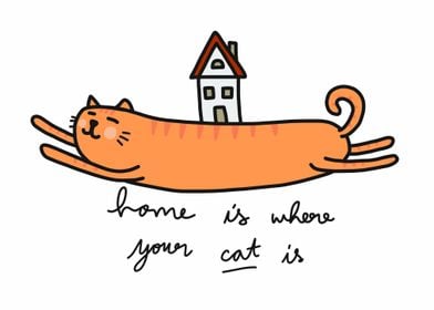 Home is where your cat is