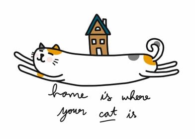 Home is where your cat is