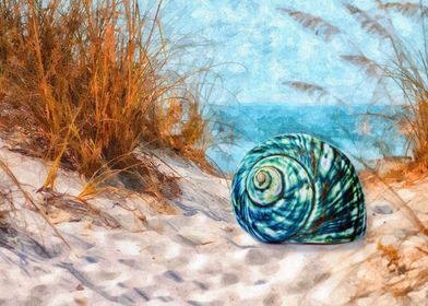 Blue Shell on the Beach