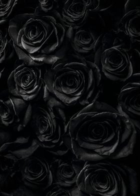 black flowers poster  