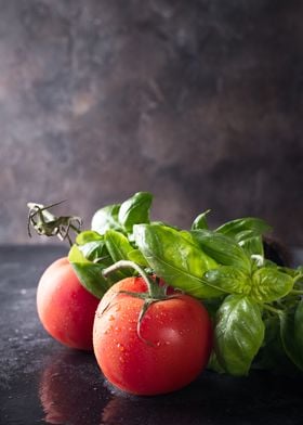 Fresh tomatoes