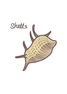 shells