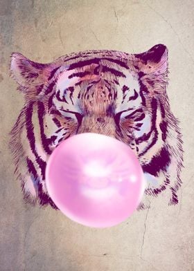 Gum Tiger