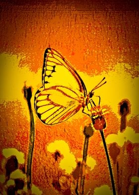 Abstract Butterfly Art