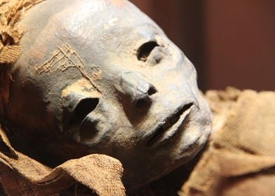 Egyptian Mummy Face