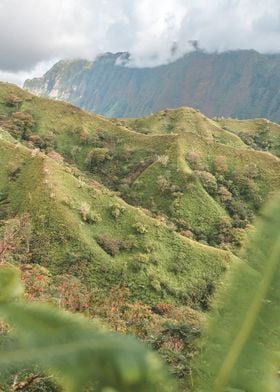 Pirae Lookout Vista