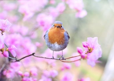 Bird On Branch