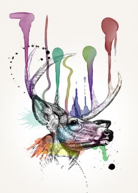 deer water colors 