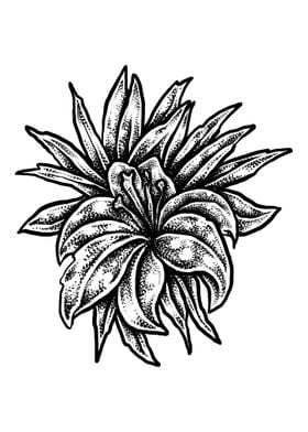 Black Work Flower art