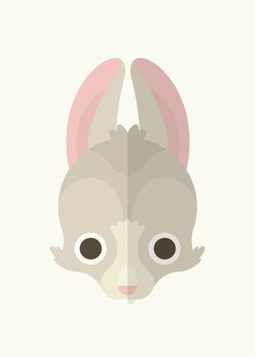 The Rabbit