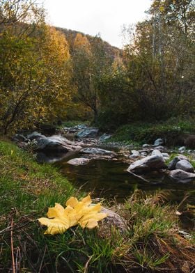 By the river 