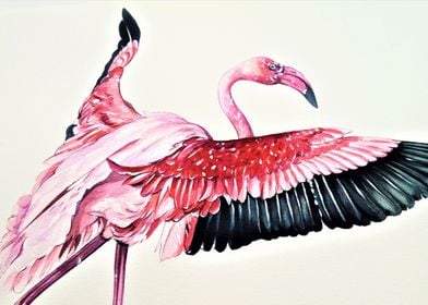 The Great Flamingo