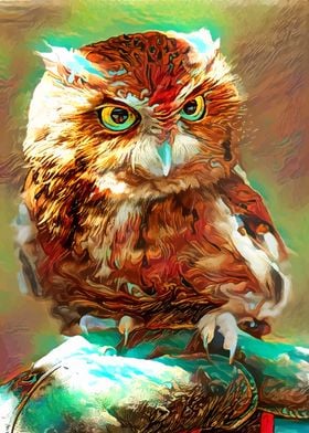 Cute Little Owl