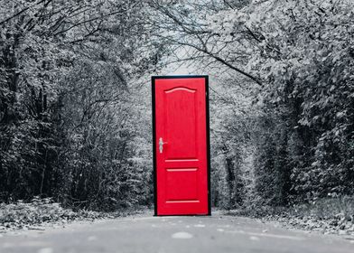 Red Door to another World 