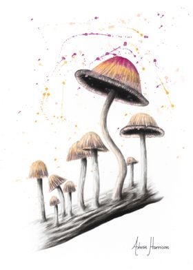 Mushroom Dance