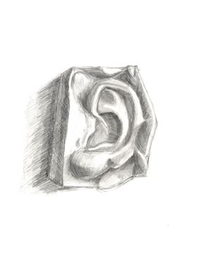 Ear sculpture drawing