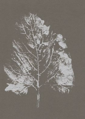 Burdock leaf print