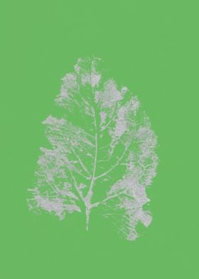 Burdock leaf print