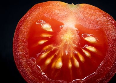 Macro Shot of a Tomato