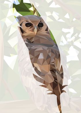 Owl of a feather