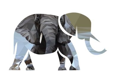 Duplicated elephant