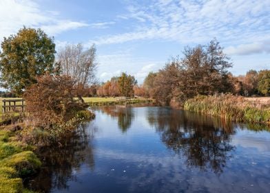 Autumn Landscape