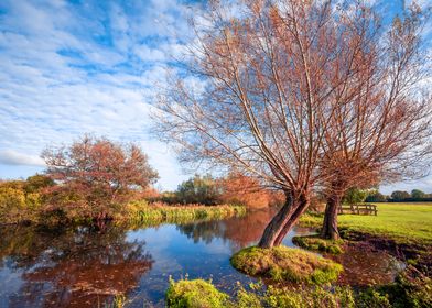 Autumn Landscape