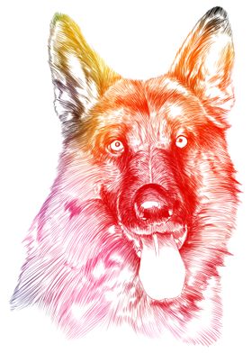 German Shepherd Dog