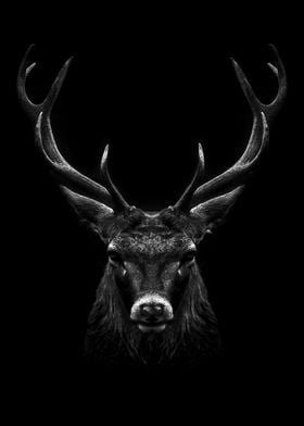 black deer head poster  
