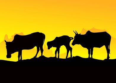 Cows at Sunset