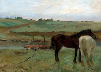 Degas Horses in a Meadow