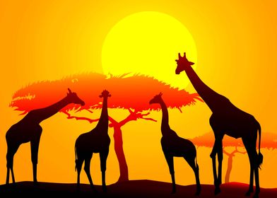 Giraffes at Sunset