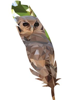Feathered Owl