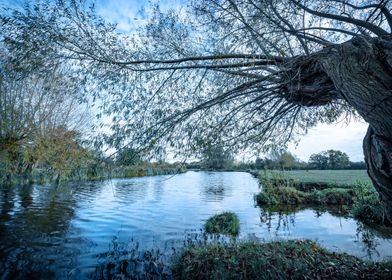 Autumn Landscape