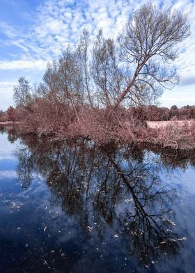 Autumn Landscape