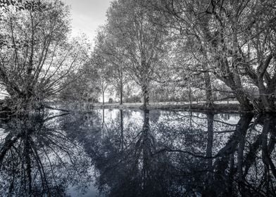 Autumn Landscape