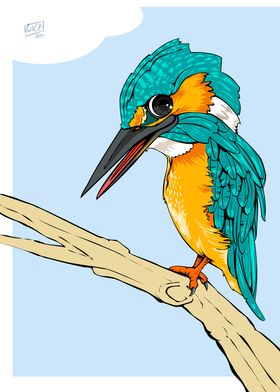 Kingfisher 1