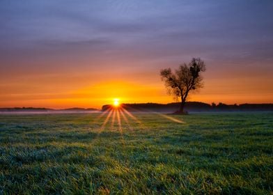 Sunrays at autumn sunrise