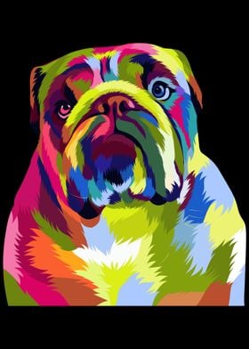 English Bulldog Dog