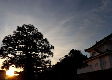 Japanese castle Kyoto Nij