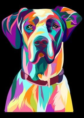 Great Dane Dog Pet