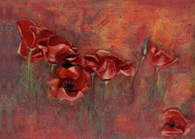 Red Poppies