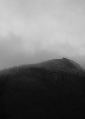 Misty Mountain 009