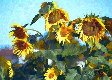 Painted Sunflowers Yellow