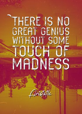 Aristotle Madness Quote