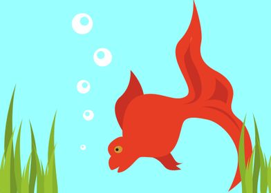 Red Wonder Fish
